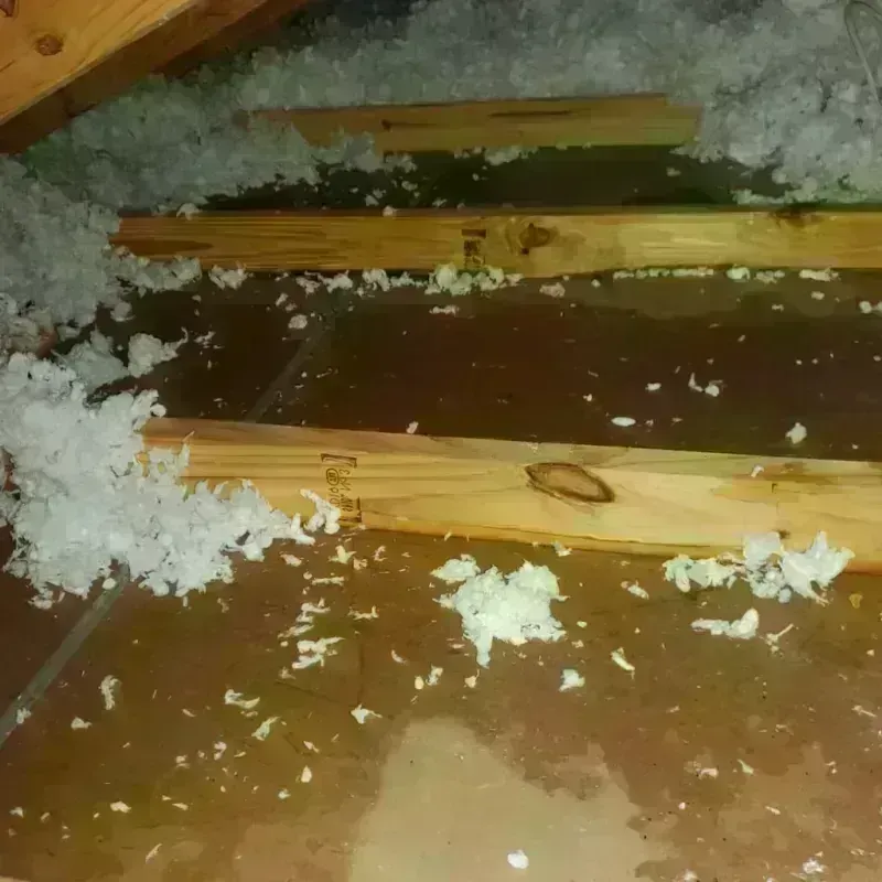 Attic Water Damage in Hidden Valley, IN