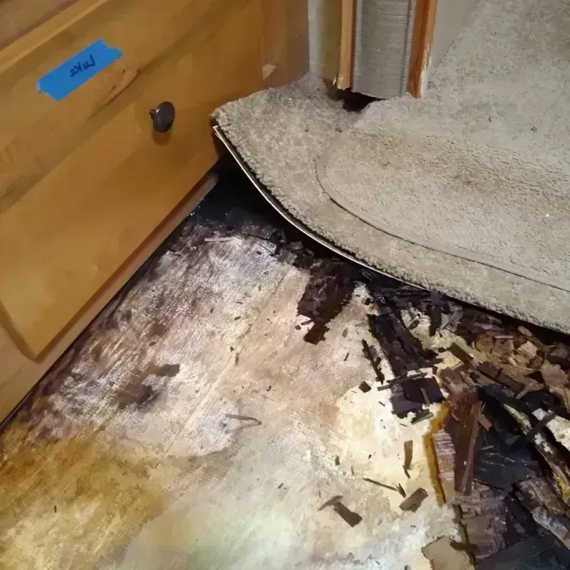 Wood Floor Water Damage in Hidden Valley, IN